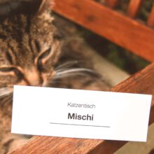 Tischkarte im minimalistischen Design. PDF downloaden, ausfüllen, ausdrucken - fertig!